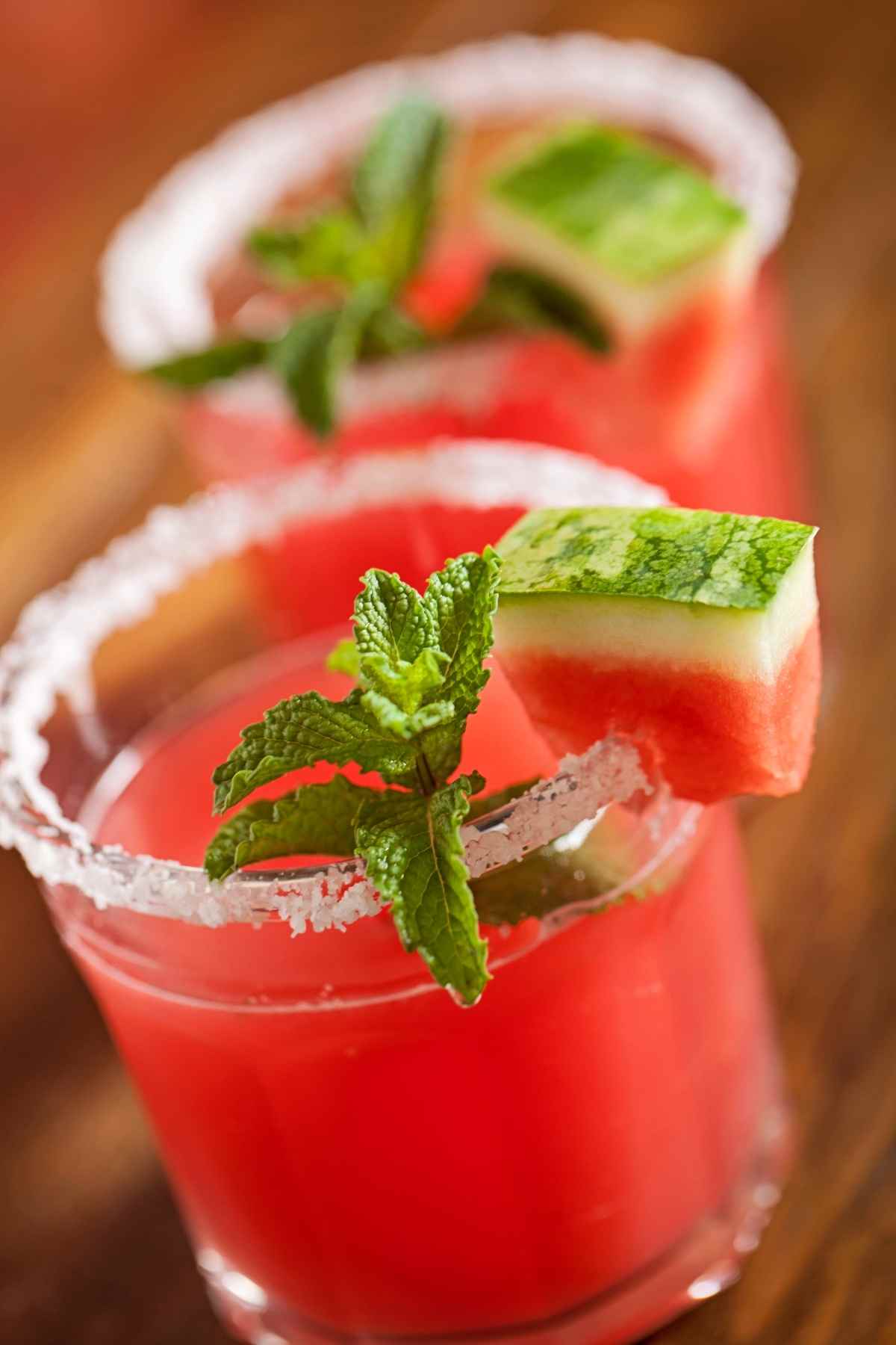 Hydration & Hemp…But No High! — Tribe's CBD Virgin Watermelon Margarita
