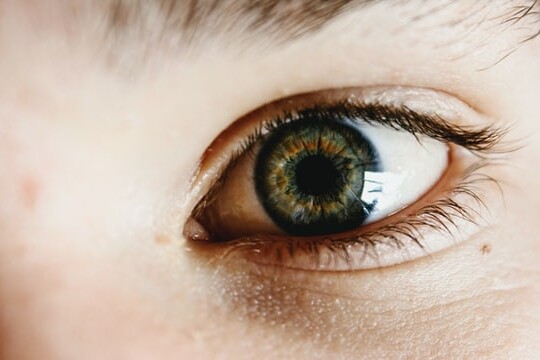 Can CBD Help With Eye Health?